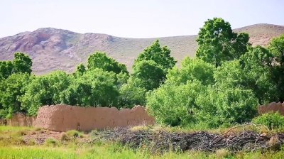 روستای آغویه