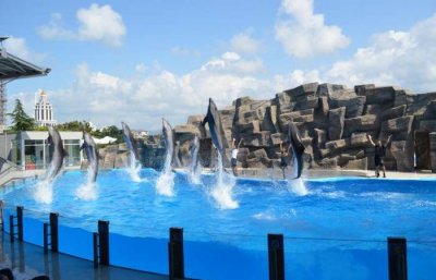 پارک دلفین های باتومی