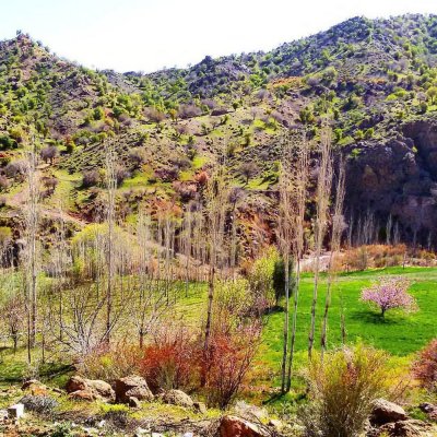 روستای ییلاقی دهبکری