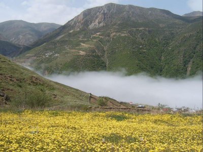 ییلاق کوهستانی حاجی شیخ موسی